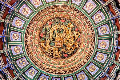 《塞尔达传说：王国之泪》日本预购量赶超《旷野之息》